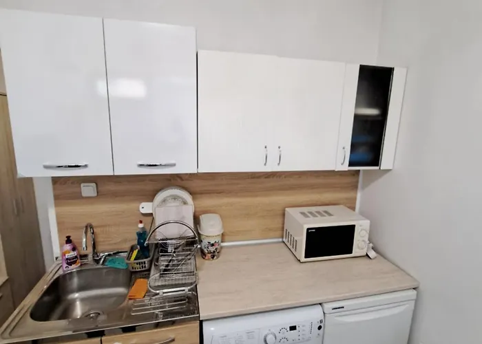 公寓 Relax 普罗夫迪夫